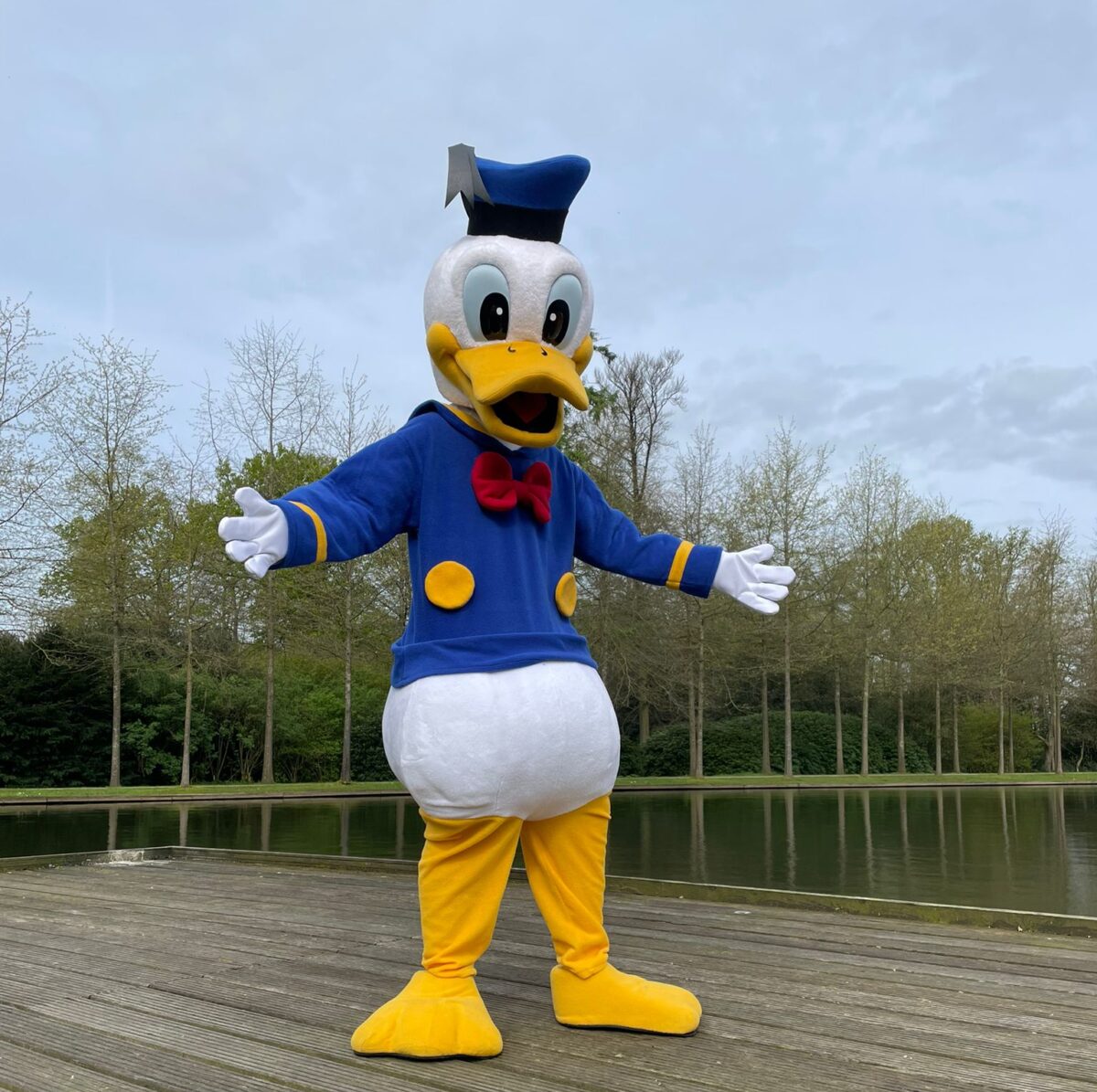 Donald Duck