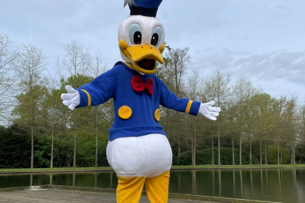 Donald Duck